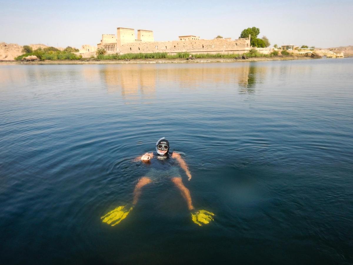 Eco Nubia Villa Asvan Dış mekan fotoğraf