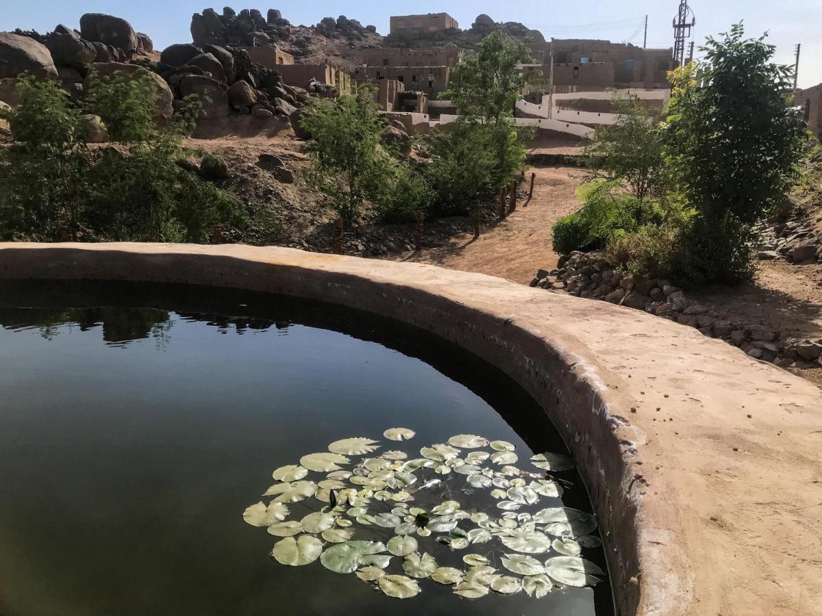Eco Nubia Villa Asvan Dış mekan fotoğraf