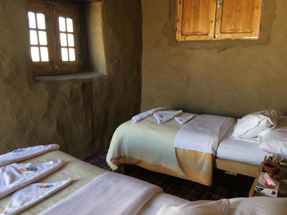 Eco Nubia Villa Asvan Dış mekan fotoğraf
